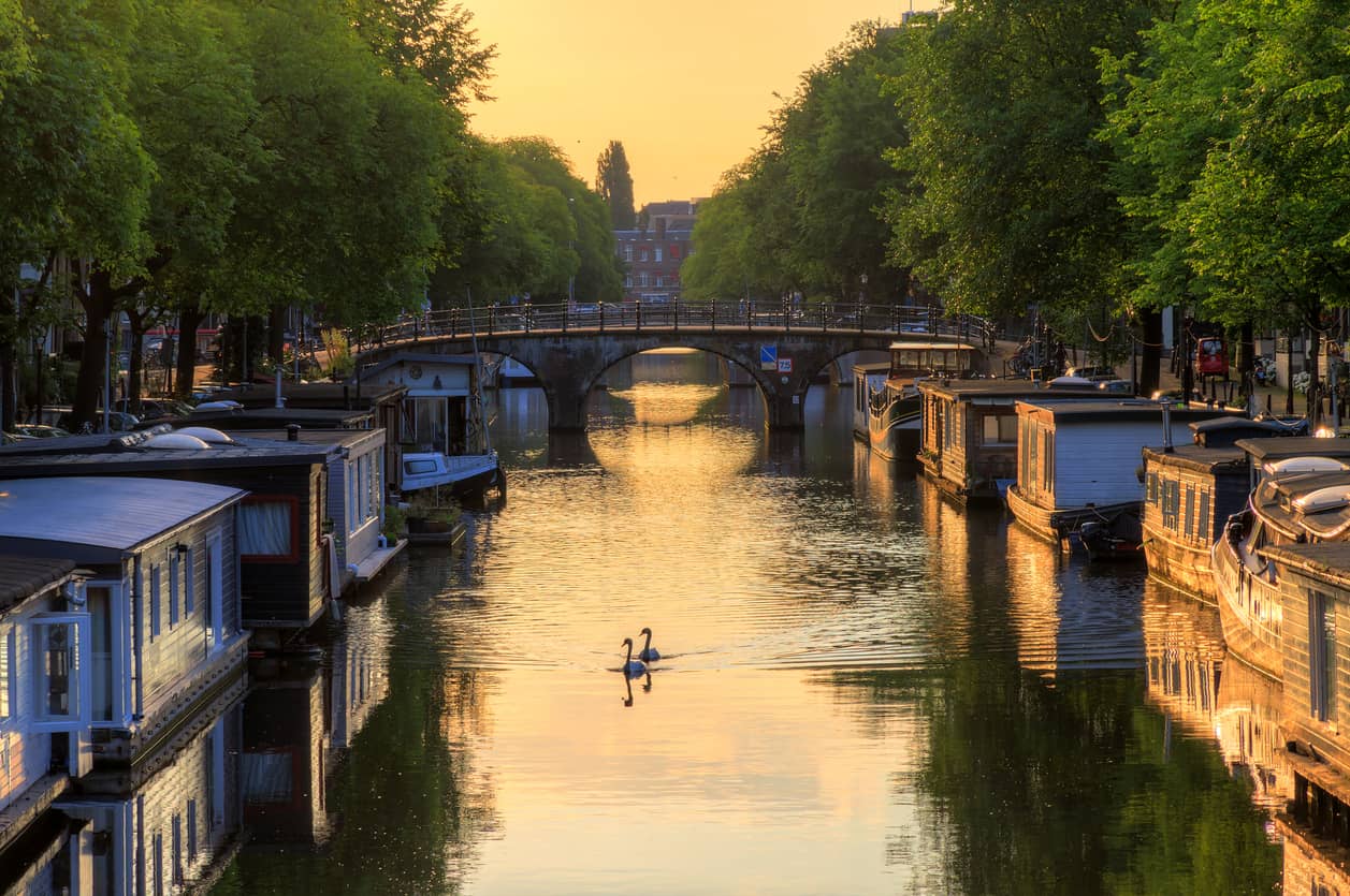 Two swans swimming in a sunlit canal lined with houseboats, with a stone bridge in the distance.