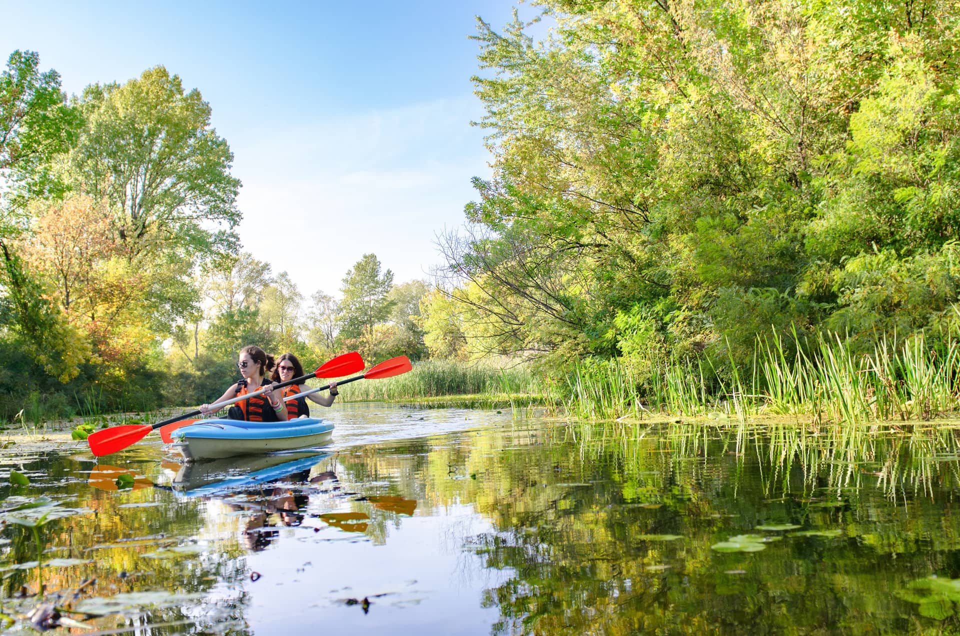 Two people in a blue tandem kayak paddling with red paddles along a calm river bordered by green trees.