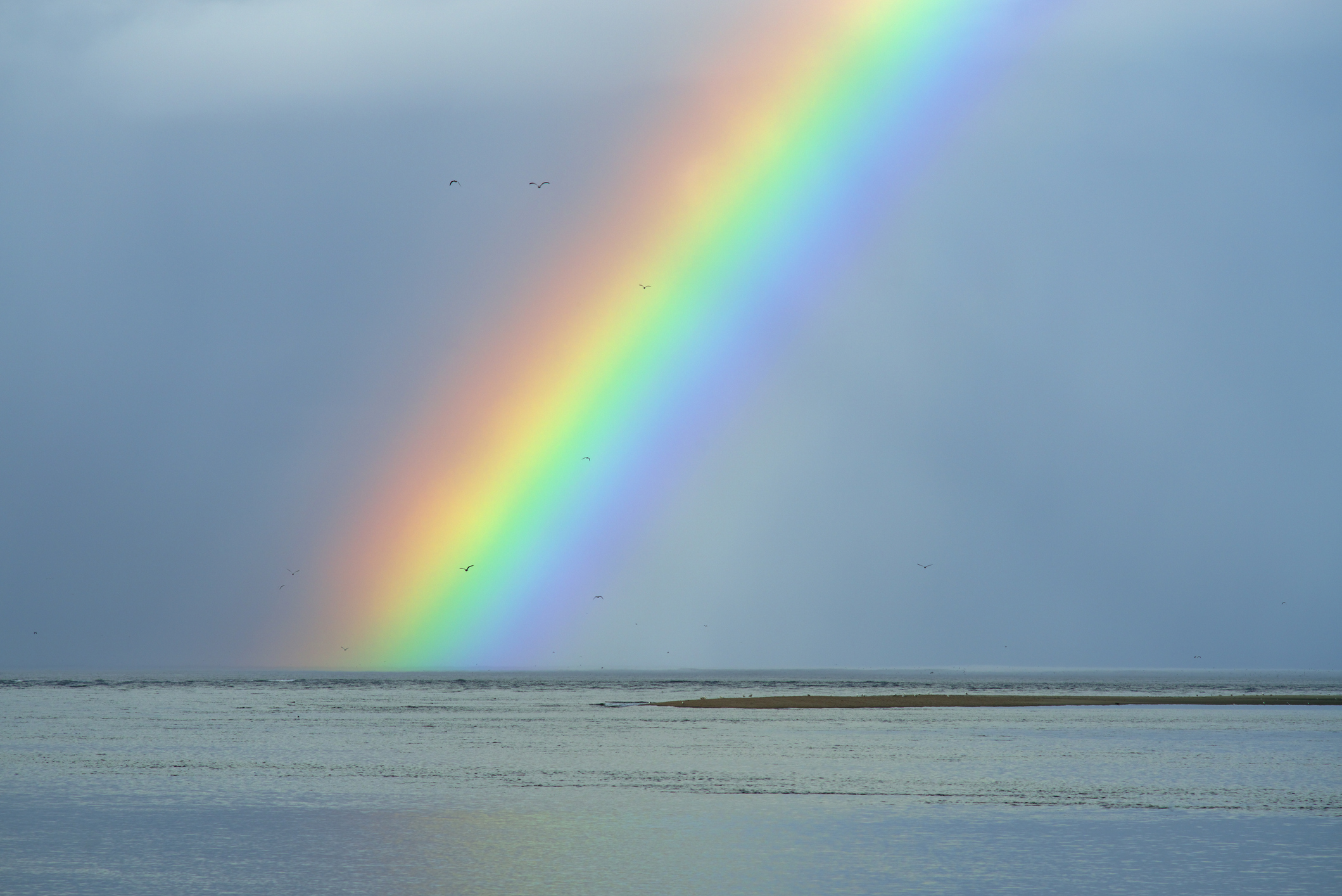 Rainbow arcing across a blue sky over a calm sea with a sandy shore and distant birds in flight.